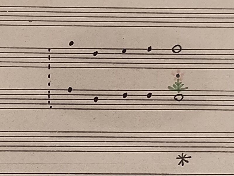Zoom onto music partition for Arvo Pärt's Für Alina.
